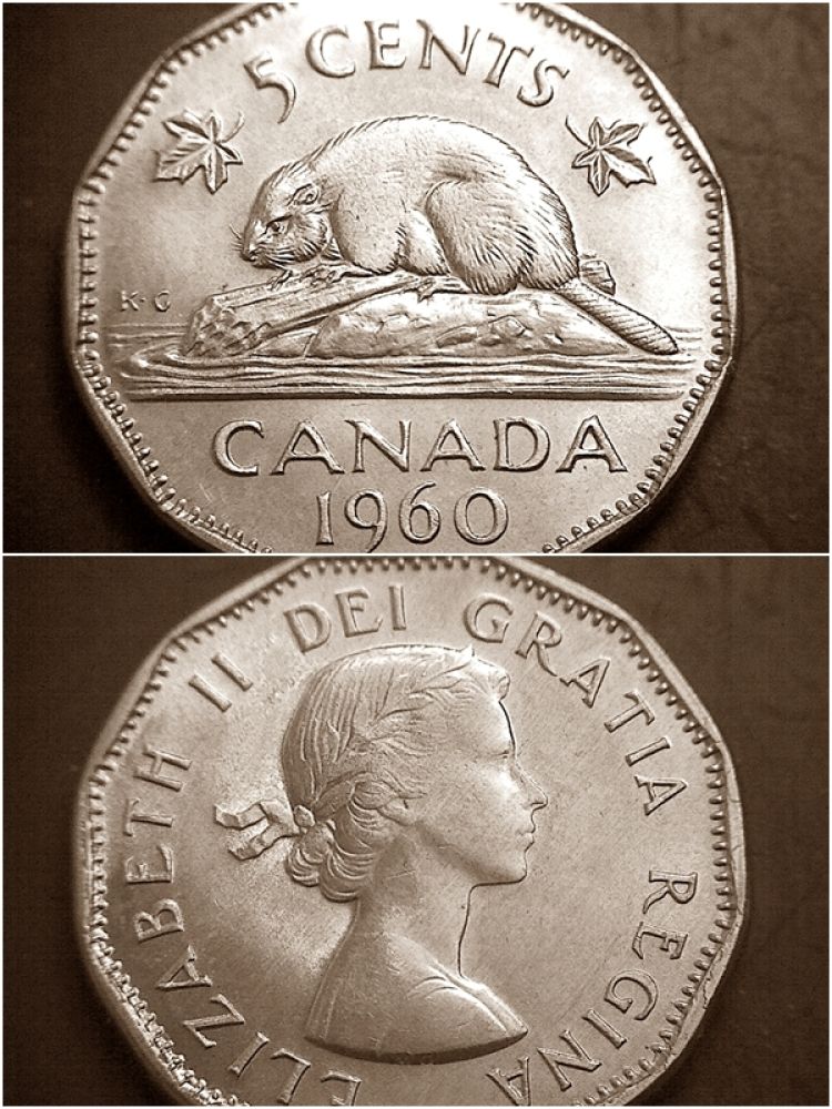 1960-5c-Bald?-PMD?
