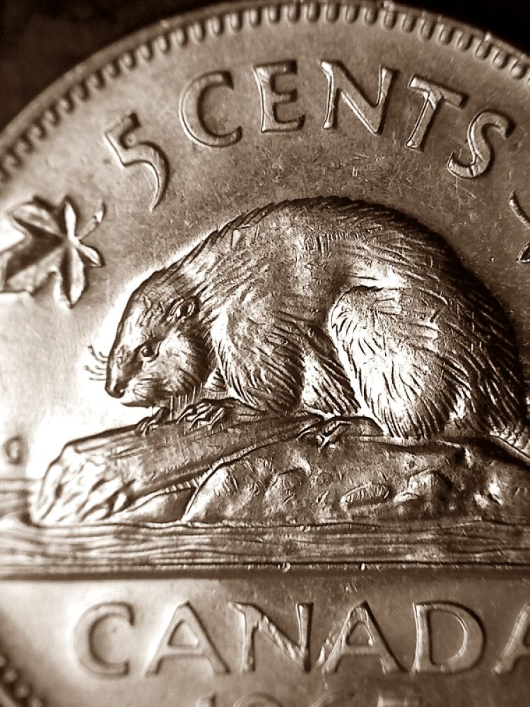 1965-Nickel-Error...first-Time-I've-Seen-This