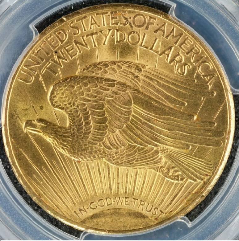 You-Vs-PCGS-20-Dollar-1924-St.-Gaudens