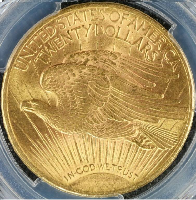 You-Vs-PCGS-20-Dollar-1909-S-St.-Gaudens