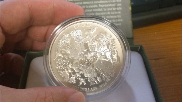 Advise-About-A-Potentially-Damaged-Coin-From-RCM