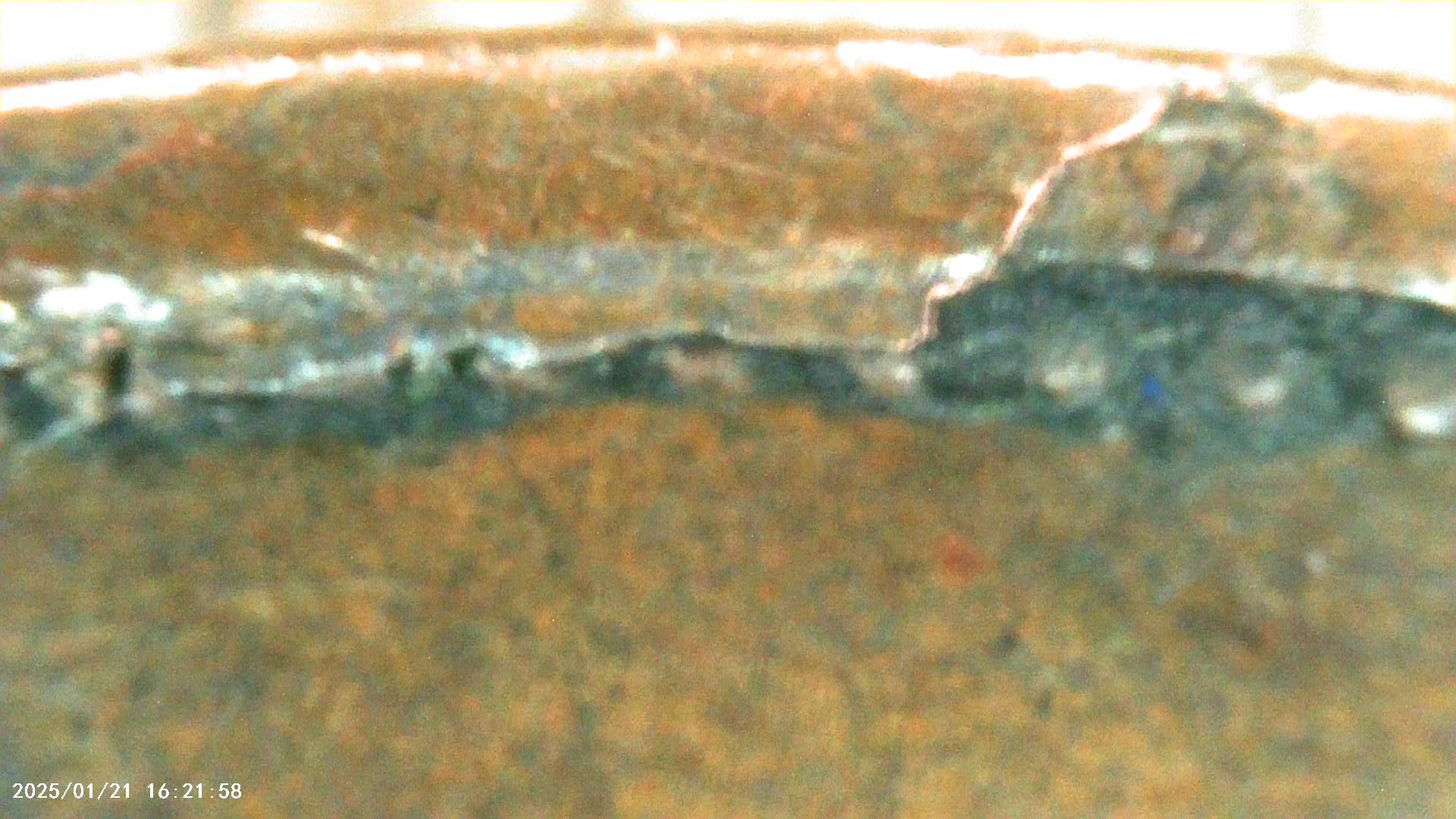 1853-Great-Britain-Victoria-Penny