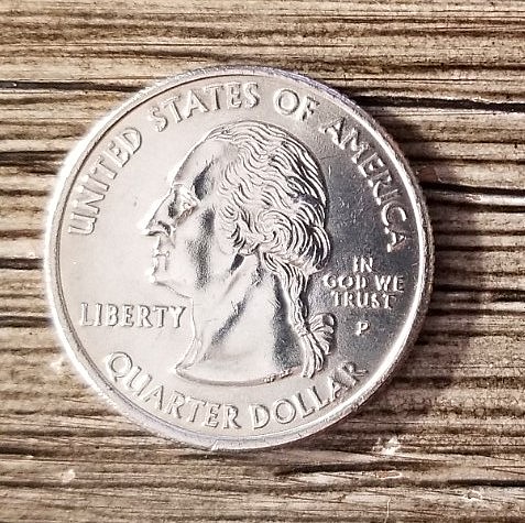 2008-P-Alaska-State-Quarter-Ms-Grade