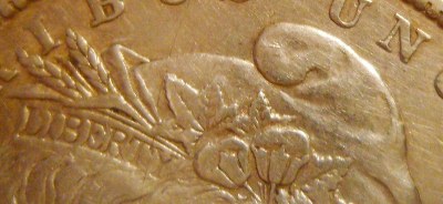 1878-P--8TF--Please-Help-Attribute