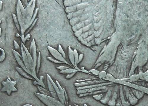 1878-P-Morgan...-Strange-Wing-Feathers?