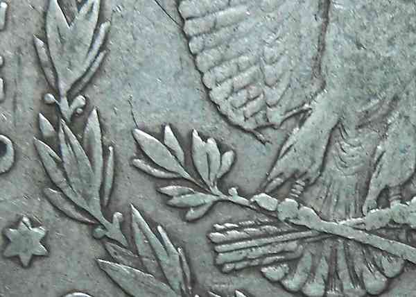 1878-P-Morgan...-Strange-Wing-Feathers?