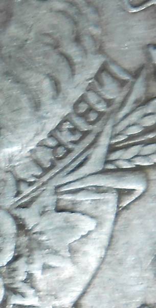 1878-P-Morgan...-Strange-Wing-Feathers?