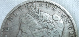 1878-P-Morgan...-Strange-Wing-Feathers?
