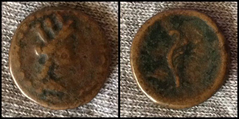 New-Coins