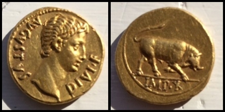 Gold-Augustus-Bull