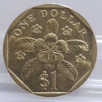 Singapore-1-Dollar-Coin---Is-This-An-Error-Coin-?
