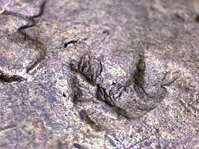 1921-Lincoln-Wheat-Cent-Rotated-Die,-Lam,-Or-Defective-Planchet?