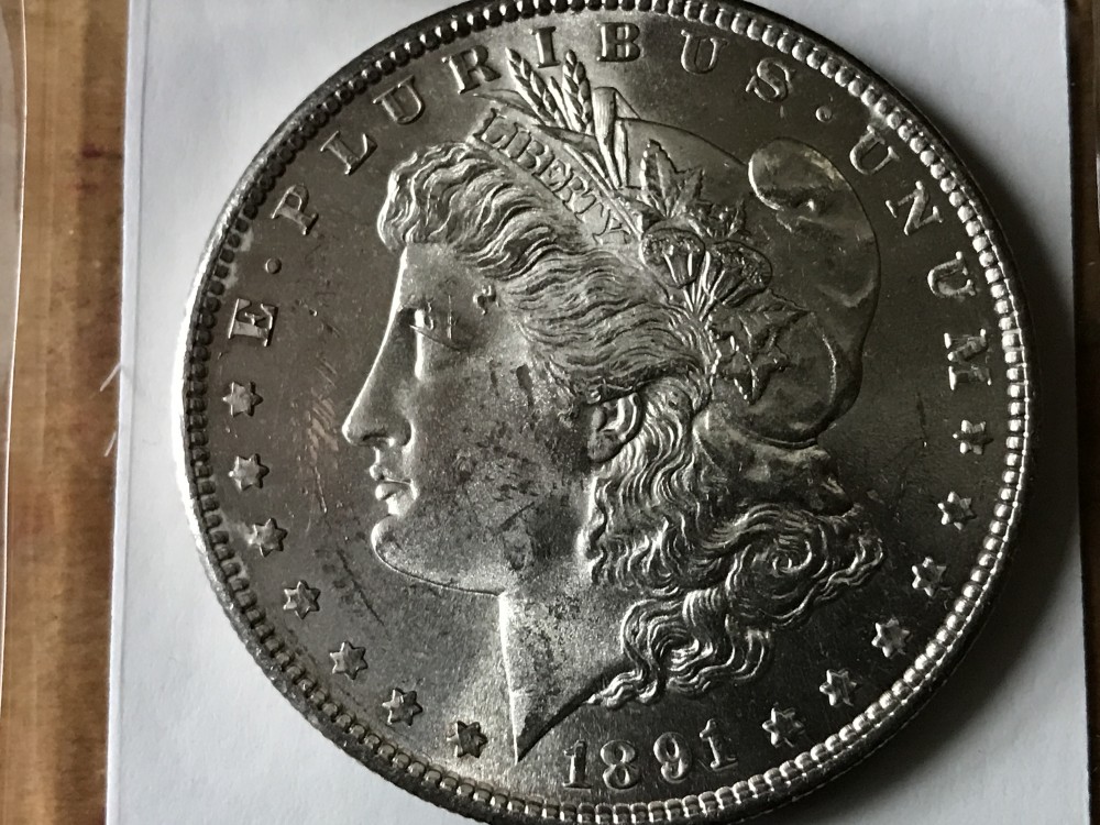 1891-S-Morgan-$-Your-Grade-Please