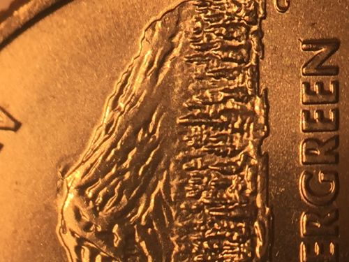 Washingtin-State-Quarter-With-Cavities-And-Cracks