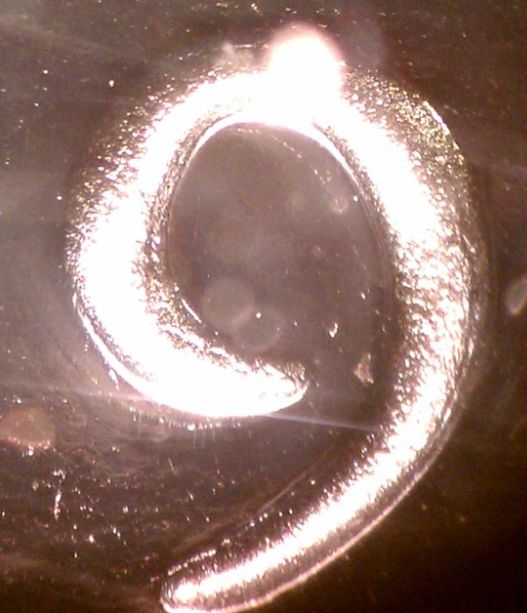 JFK-Half-Dollar-Roll-Hunters:-Silver,-Proofs-And-Other-Finds