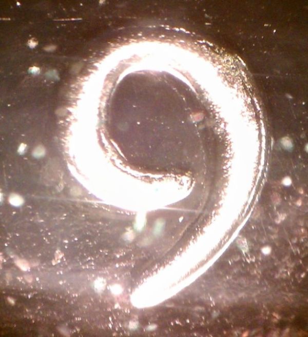 JFK-Half-Dollar-Roll-Hunters:-Silver,-Proofs-And-Other-Finds