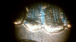 1878-S-Morgan,-Is-This-A-Form-Of-Doubling.-Liberty-&-Leaves