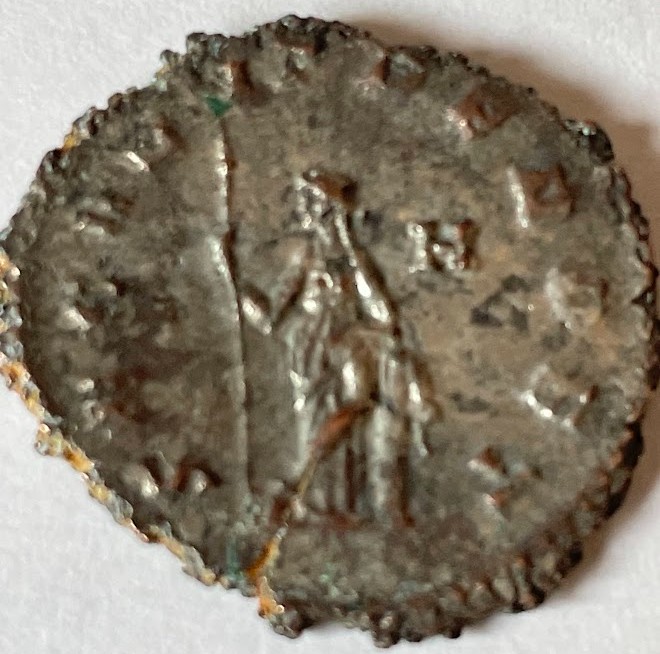 Are-These-Rare?--Please-Help-Identifying