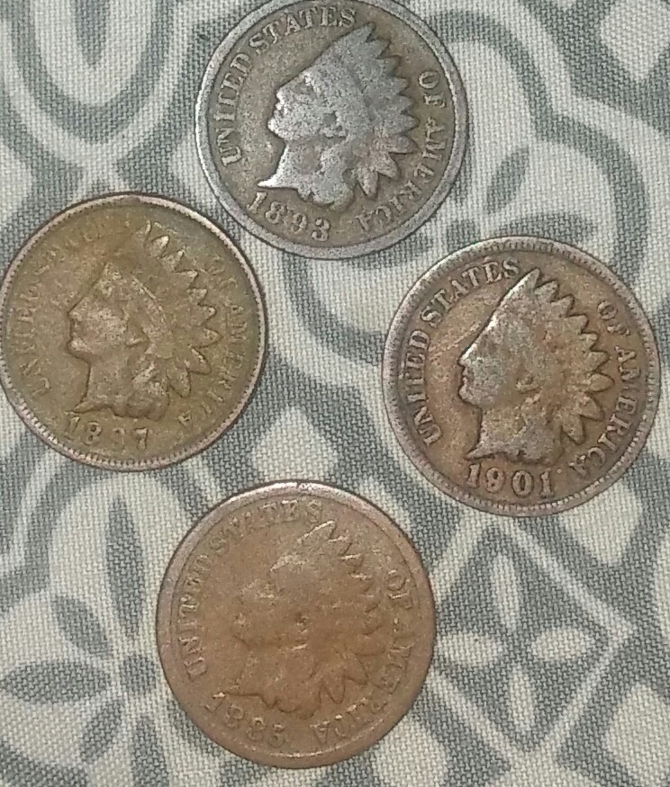 Indan-Head-Pennies-Bought-Them-For-75-Cent-Good-Deal?