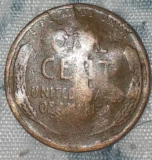 1955-Penny-This-This-An-Error-Or-Just-Really-Messed-Up
