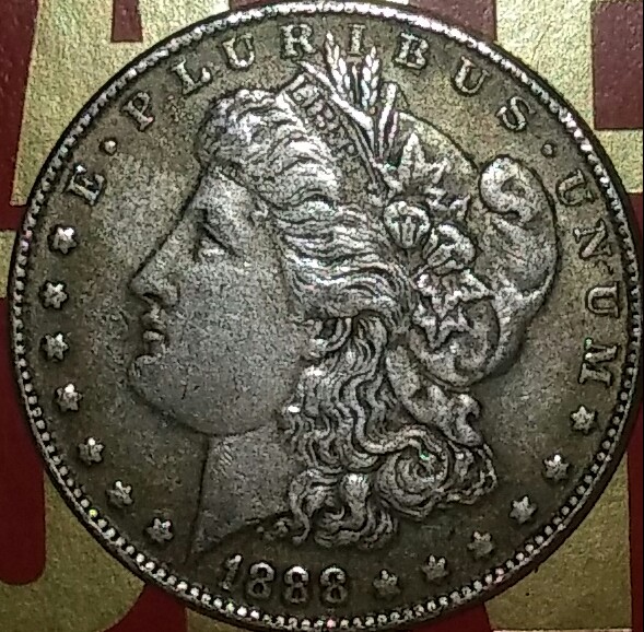 1888-Dollar-Coin-Would-You-Grade-It-For-Me?