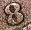 1888-Penny-8-Over-7-I-Know-It-Is-Damaged-But-I-C-A-7-Under-The-8-Do-U?