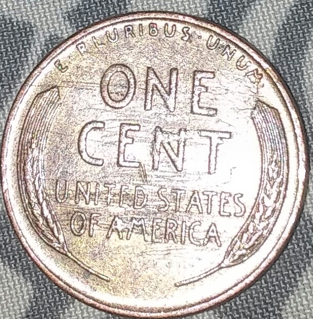 1955-D-What-Is-Up-With-This-Penny?