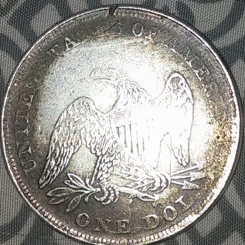 1877-Dollar-Coin-What-Kinda-Value-Is-This?