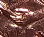 Could-You-Help-What-Double-Die-Is-This-2009-Cent?-Or-Is-It?