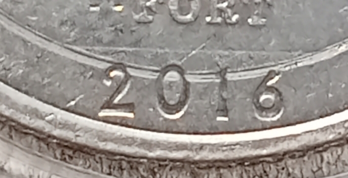New-Member-From-Florida