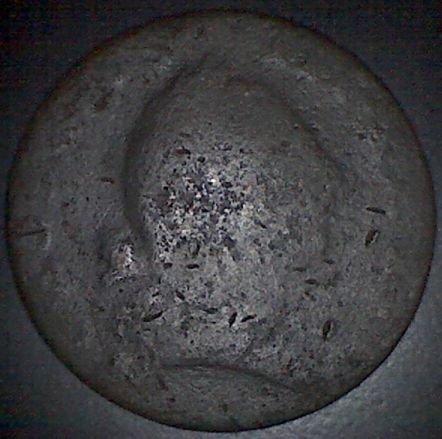 Low-Grade-Virginia-Halfpenny