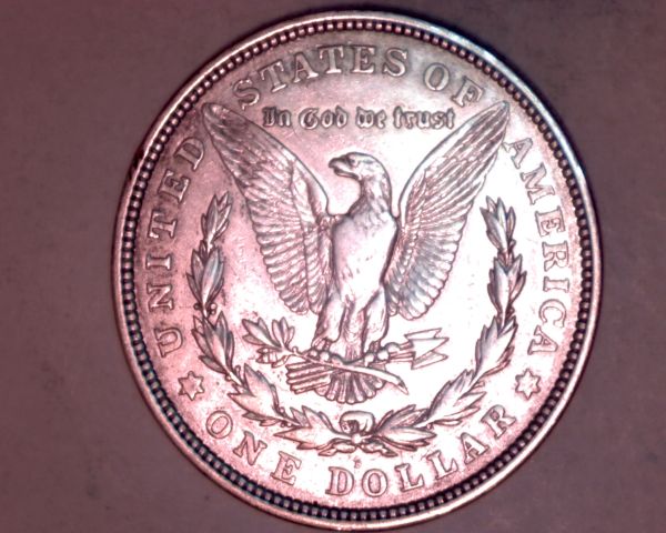 Morgan-Dollars-Grade-Question