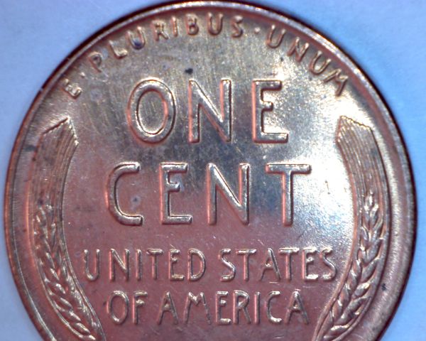 1956-D-1MM-008-Should-This-Be-Slabbed/Graded?