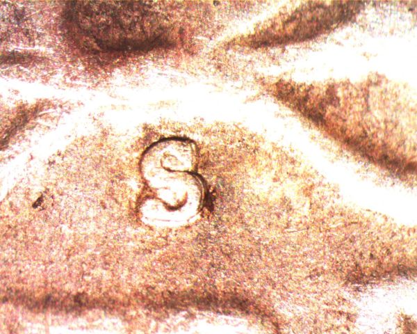 1953-S-Washington-Quarter-RPM-001?