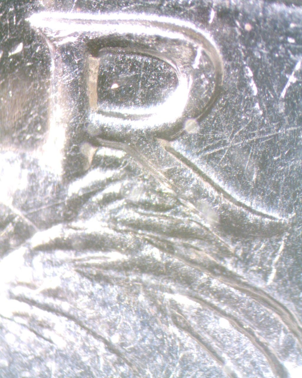 2014-D-Kennedy-Half-Dollar-With-Hair-Between-The-Legs-Of-The-