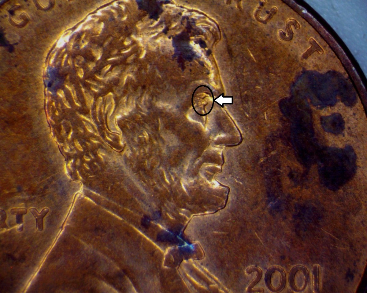 2001-D-LMC-With-Something-Going-On-With-The-Eye-Area-Of-Lincoln.