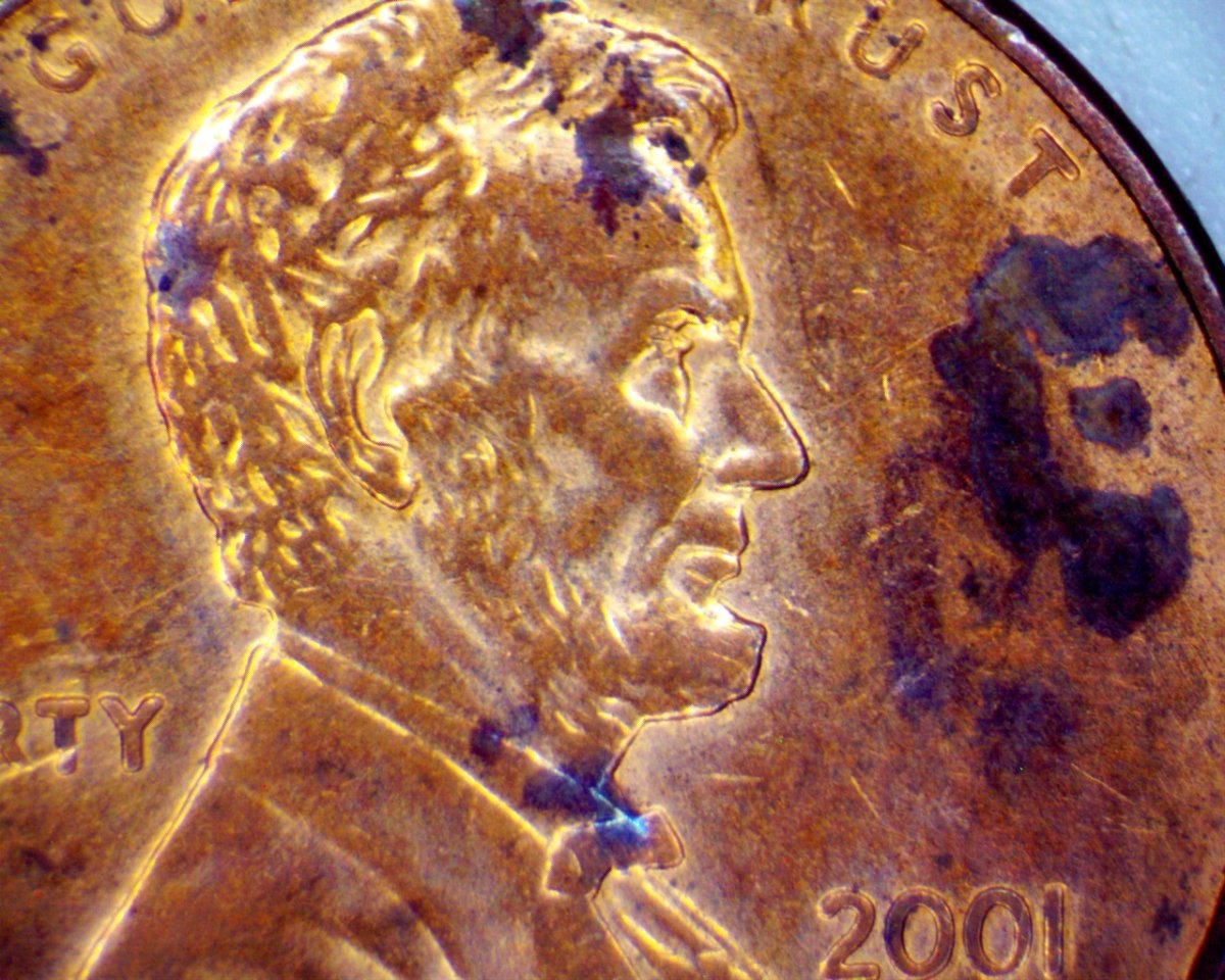 2001-D-LMC-With-Something-Going-On-With-The-Eye-Area-Of-Lincoln.