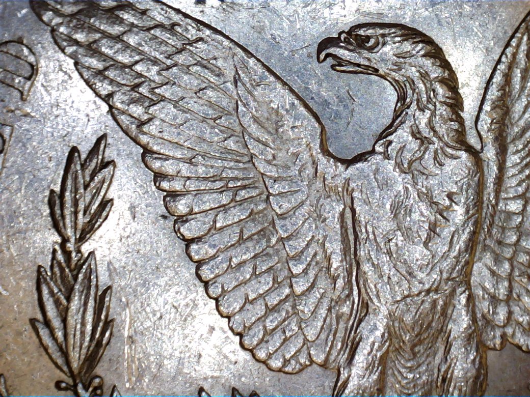 1878-S-Help-With-VAM-Identification!