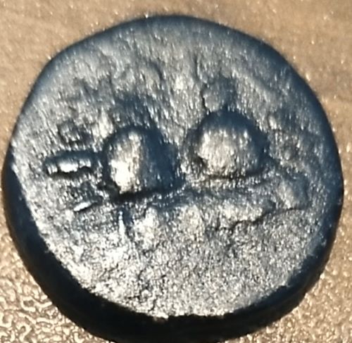 Identification-Please