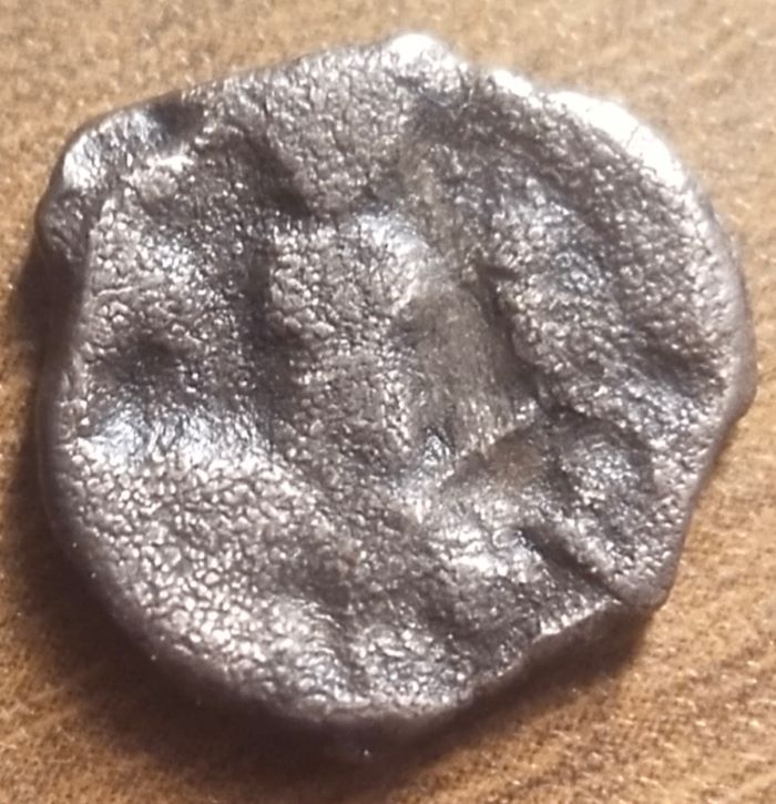 Identification-Please