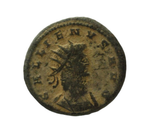 My-New-Gallienus