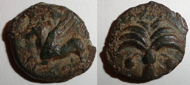Carthaginian-Coins?