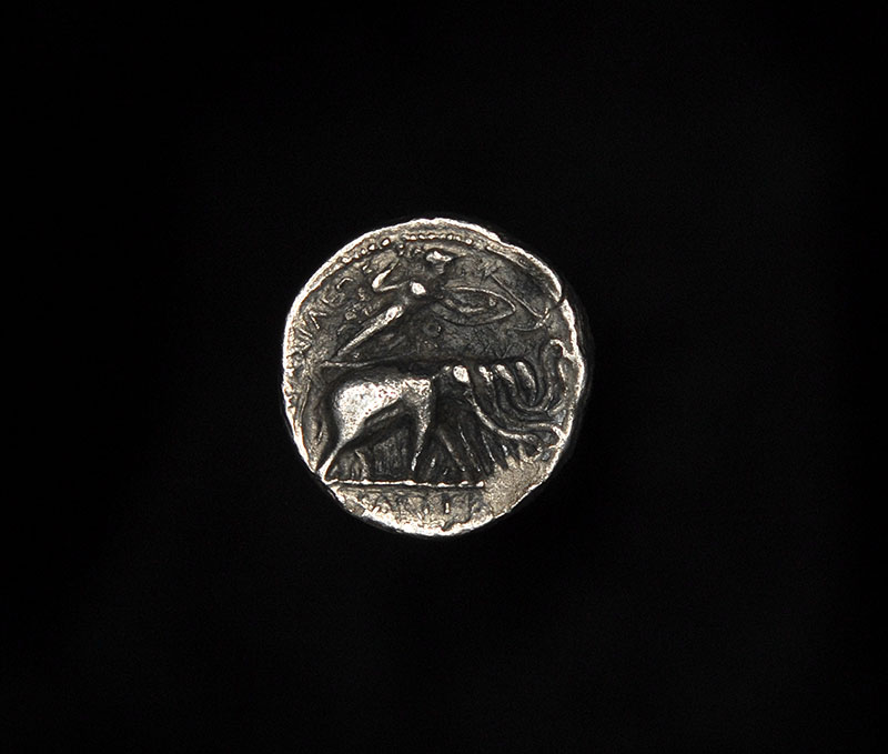 Best-Avenue-For-New-Coins?