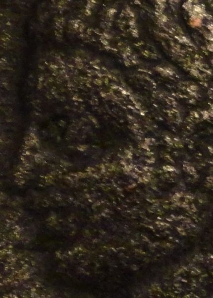 Guess-The-Emperor,-Caesar,-Or-Empress