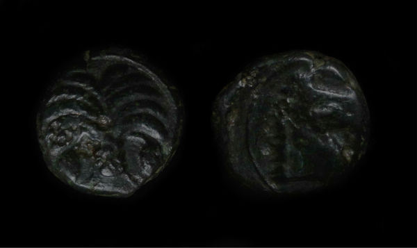 New-Photos-Of-The-Same-Old-Coins