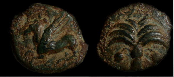 New-Photos-Of-The-Same-Old-Coins