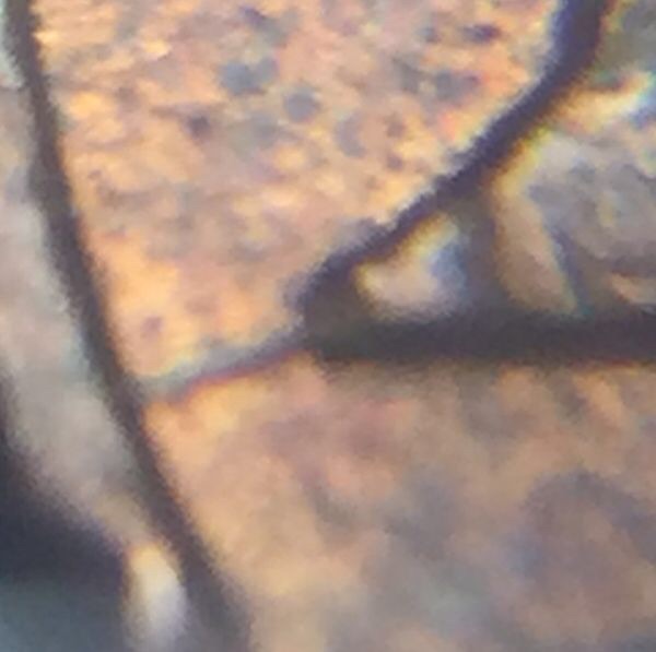 1980-Penny-Just-Wanna-Know-What-This-Is?