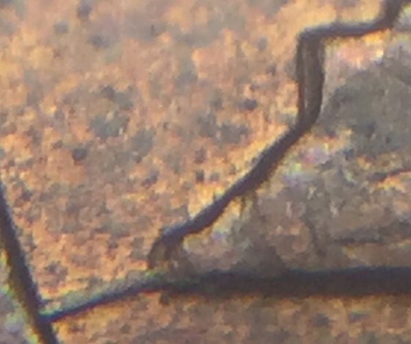1980-Penny-Just-Wanna-Know-What-This-Is?