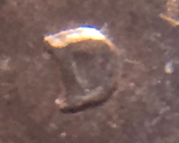 1985-D-RPM?