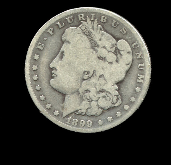 Please-Grade---1899-O-Micro-O